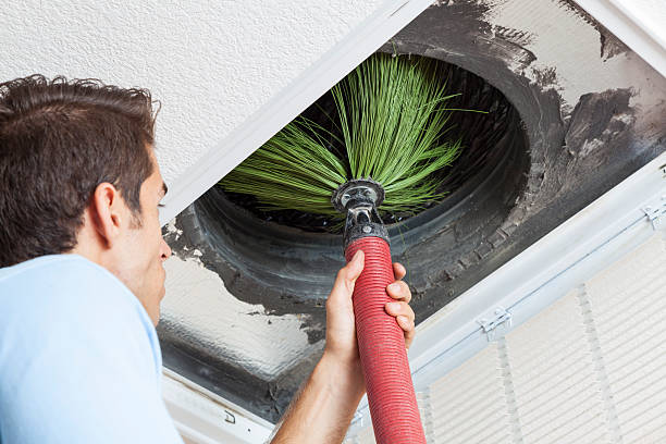 Best Emergency Air Duct Cleaning Services in Lakeland, MN